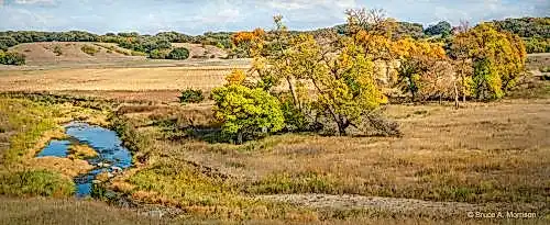 Autumn Along the Waterman Creek Valley