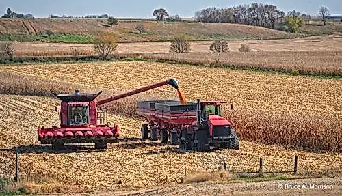 Corn Harvest - photograph - © Bruce A. Morrison