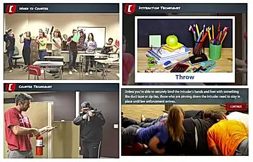 Screenshots from ALICE training for teachers captured by the author